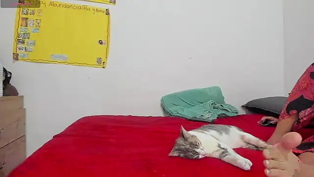 Snapshot of Hela_wet chatting on 11.24.25 Hela wet online show from 11.24.25