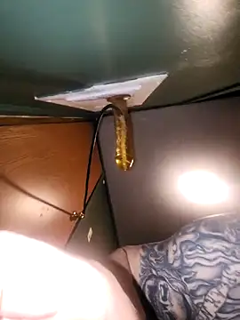 Snapshot of Loosegoose90 chatting on 02.27.26 Loosegoose90 online show from 02.27.26