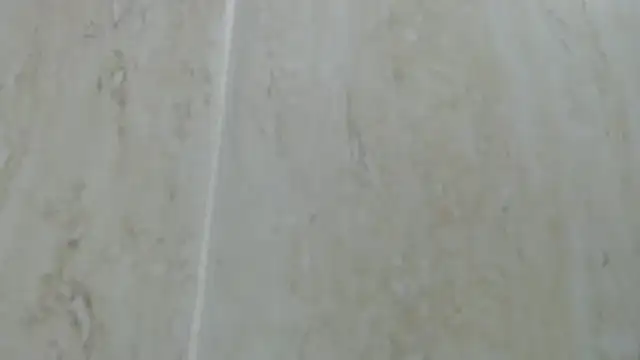 Crazy team  online show from 12.24.24