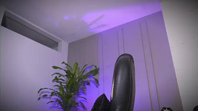 Frank Farrell online show from 05.16.26