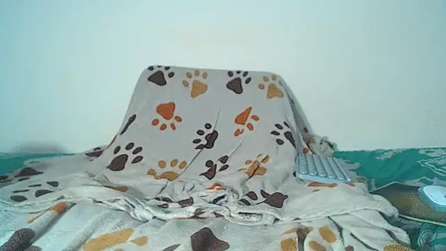 Snapshot of maihton_xx chatting on 02.03.26 maihton xx online show from 02.03.26