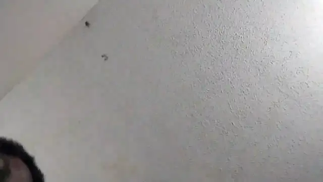 247Srokin online show from 03.06.26