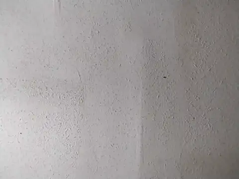 247Srokin online show from 04.13.26