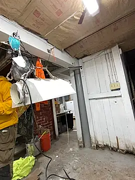 charactrzero online show from 12.23.24