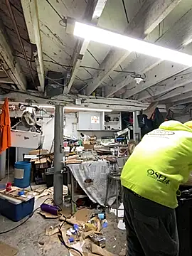 charactrzero online show from 01.04.25