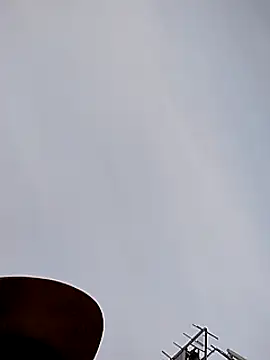 Daddy hook online show from 12.11.24