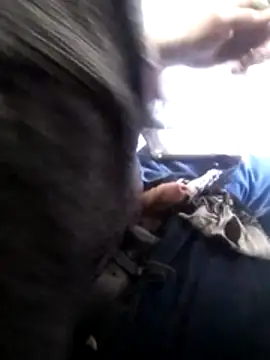 Wero4200 online show from 02.04.26