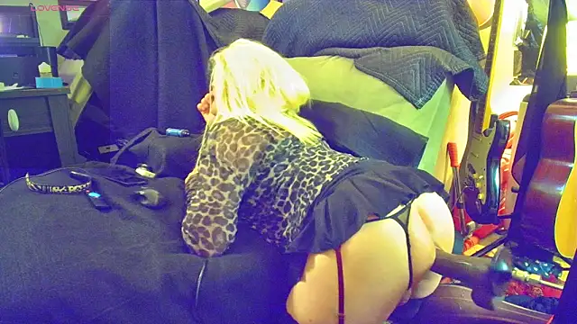 DoMeDoggyDiana online show from 04.06.26
