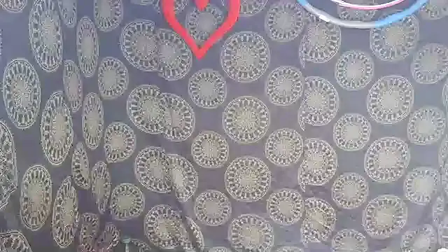 Snapshot of LunaRai chatting on 02.06.26 LunaRai online show from 02.06.26