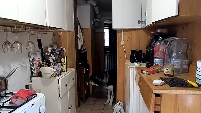 VanessaDoyle online show from 02.26.26