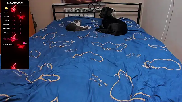 eva zero online show from 10.05.25