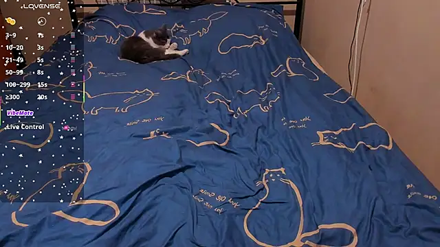 Snapshot of eva_zero chatting on 02.27.26 eva zero online show from 02.27.26