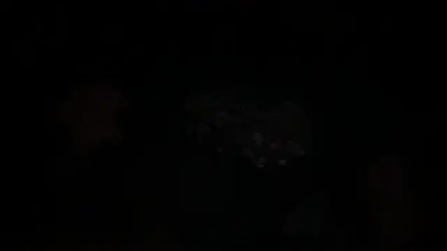 waveonce- online show from 12.14.25