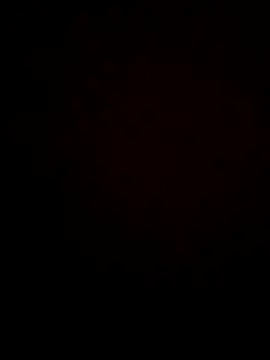 gokhanbey34 online show from 11.26.25