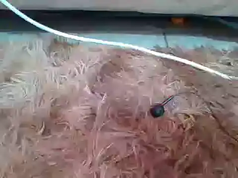 sexyjanett online show from 03.11.25