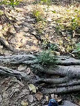 Rinku5553 online show from 02.02.25