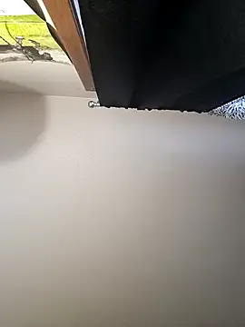 Snapshot of yellowwetfox chatting on 12.31.24 yellowwetfox online show from 12.31.24