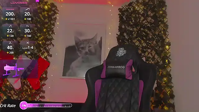 Snapshot of 420Geminis chatting on 12.27.24 420Geminis online show from 12.27.24