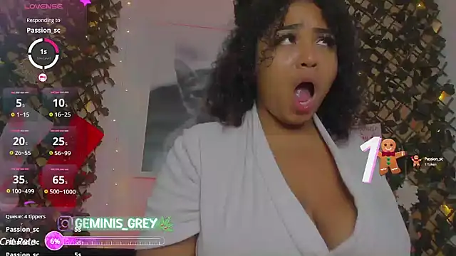 Snapshot of 420Geminis chatting on 01.05.25 420Geminis online show from 01.05.25