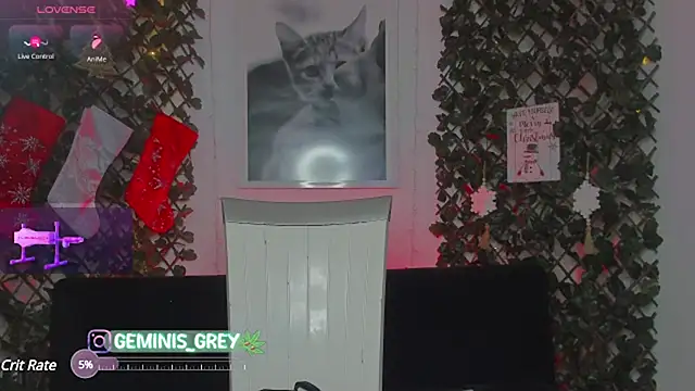 Snapshot of 420Geminis chatting on 01.28.25 420Geminis online show from 01.28.25