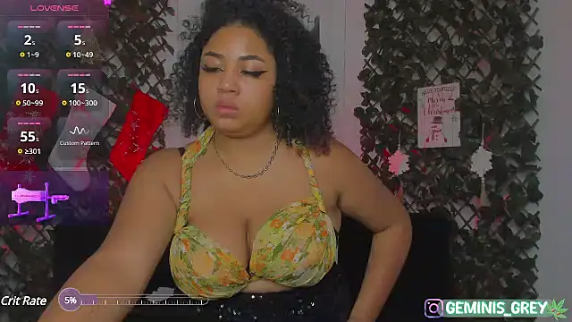 Snapshot of 420Geminis chatting on 01.29.25 420Geminis online show from 01.29.25