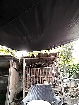 Snapshot of MS_Isabella_Snow92 chatting on 02.22.25 MS Isabella Snow92 online show from 02.22.25