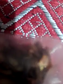 XBHUUME online show from 02.01.25