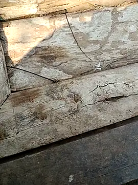 Snapshot of kummuduabbai chatting on 03.03.26 kummuduabbai online show from 03.03.26