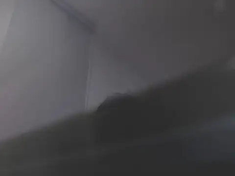 violetasweet11 online show from 02.19.26