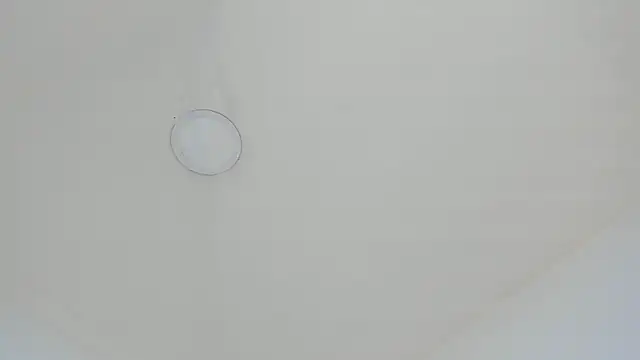 Cilie lee online show from 01.14.25