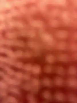 Snapshot of BigFineSelena chatting on 01.11.25 BigFineSelena online show from 01.11.25