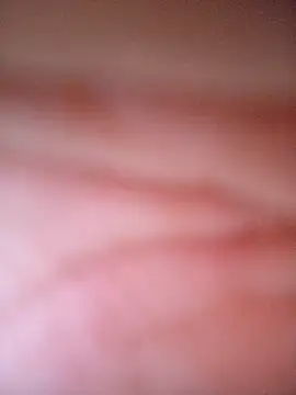 Snapshot of CASADASIGILO2 chatting on 11.13.25 CASADASIGILO2 online show from 11.13.25