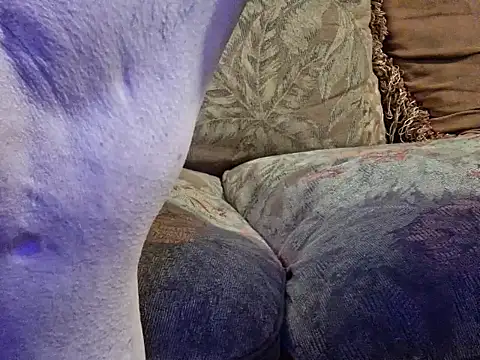 highstepper500 online show from 02.20.26