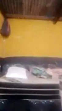 LULE37587001 online show from 02.24.26