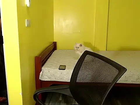 xx goddessofallgodess xx online show from 10.02.25