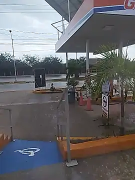 sagrado 1989 online show from 01.12.26