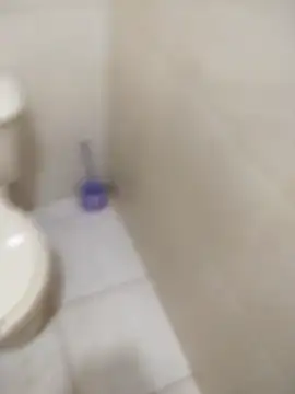 sagrado 1989 online show from 02.06.26