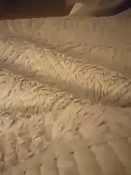 Mark Dad online show from 02.08.25