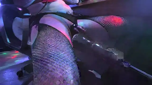 slankecrosdresser online show from 11.02.25