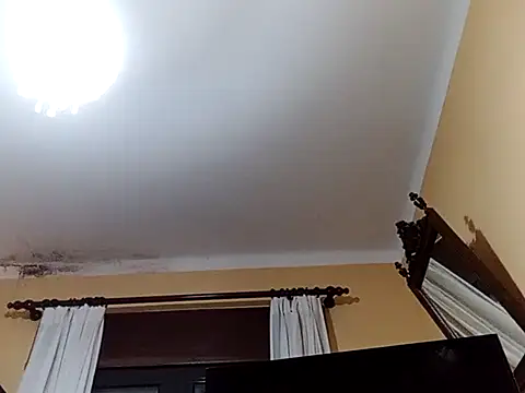 White rabbit  online show from 02.27.25