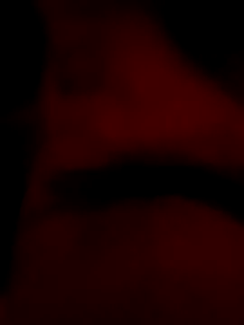 Snapshot of roccosif696 chatting on 01.25.25 roccosif696 online show from 01.25.25