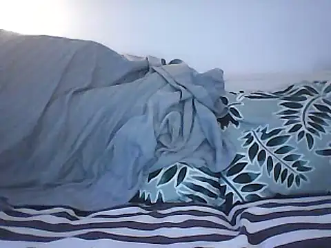 Snapshot of Malcomvs97 chatting on 01.28.25 Malcomvs97 online show from 01.28.25