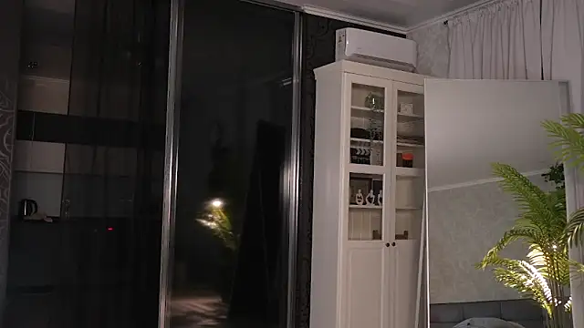 seeunexttime0 online show from 01.20.25