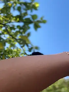 LukeLouHarvey online show from 09.20.25