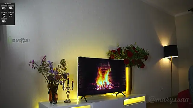 Snapshot of maryssaa_ chatting on 11.26.25 maryssaa online show from 11.26.25