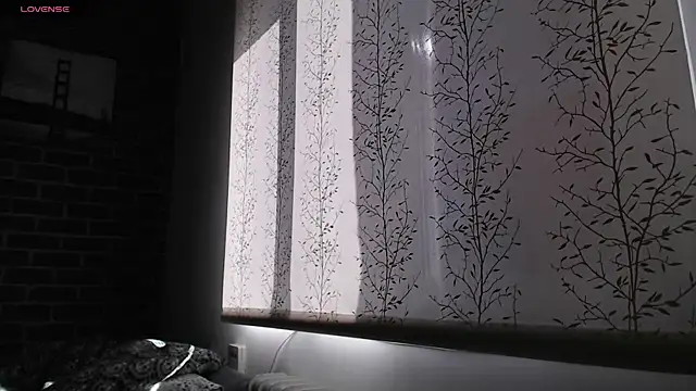 Snapshot of _Hot_Lady_ chatting on 02.20.25 Hot Lady online show from 02.20.25