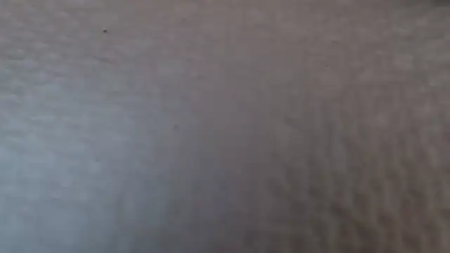Snapshot of TsSandyx chatting on 04.30.26 TsSandyx online show from 04.30.26