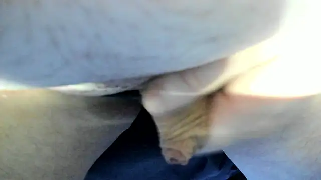 Big Andiy online show from 09.12.25