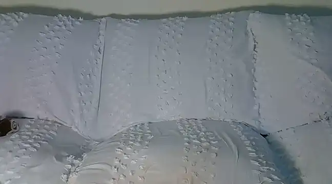 wetmypants online show from 03.08.25