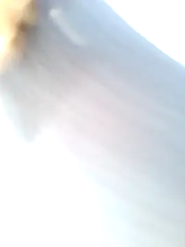 mustican422 online show from 02.25.25